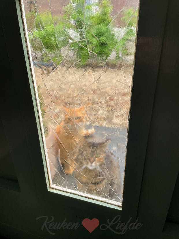 Een kijkje in de keuken week 22-2021 Een kijkje in de keuken week 22-2021