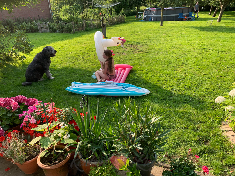 Een kijkje in de keuken week 30-2021