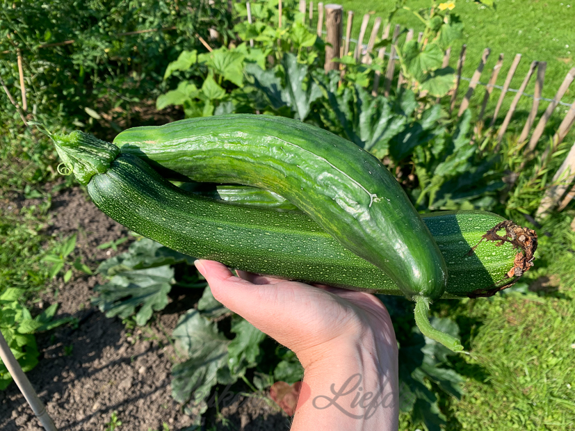 Een kijkje in de keuken week 30-2021