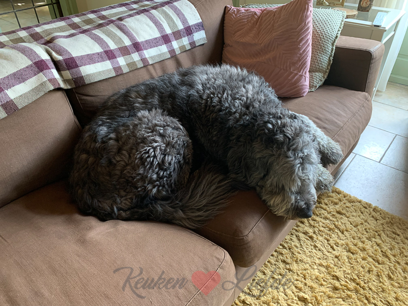 Een kijkje in de keuken week 30-2021 Een kijkje in de keuken week 30-2021