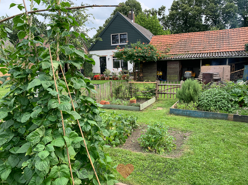 Een kijkje in de keuken week 34-2021