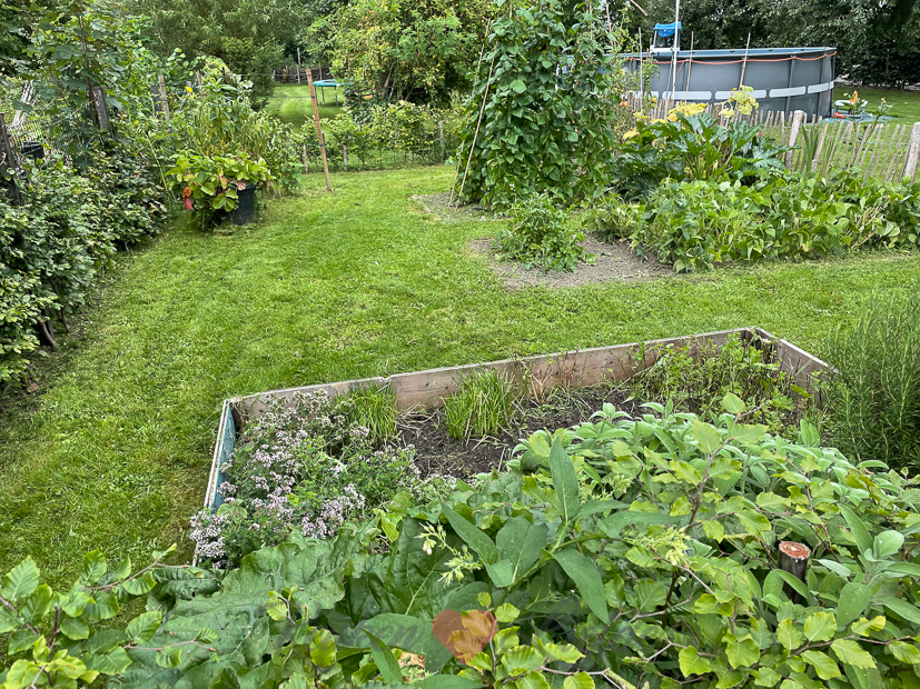 Een kijkje in de keuken week 34-2021