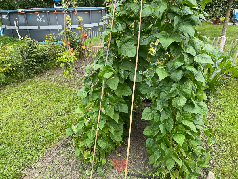 Een kijkje in de keuken week 34-2021