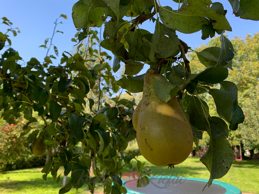 Een kijkje in de keuken week 39-2021