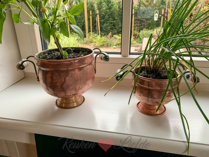 Een kijkje in de keuken week 39-2021