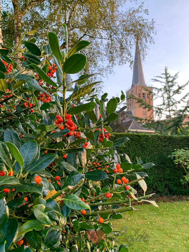 Een kijkje in de keuken week 41-2021