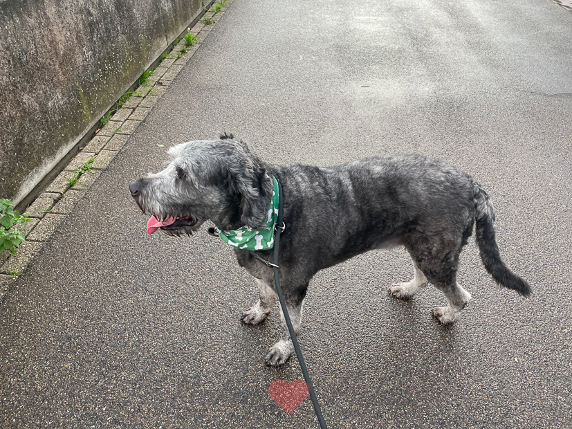 Een kijkje in de keuken week 43-2021