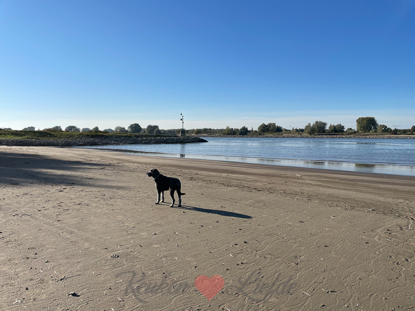 Een kijkje in de keuken week 43-2021