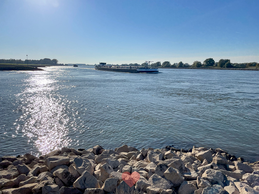 Een kijkje in de keuken week 43-2021