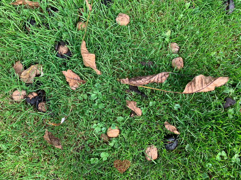 Een kijkje in de keuken week 44-2021