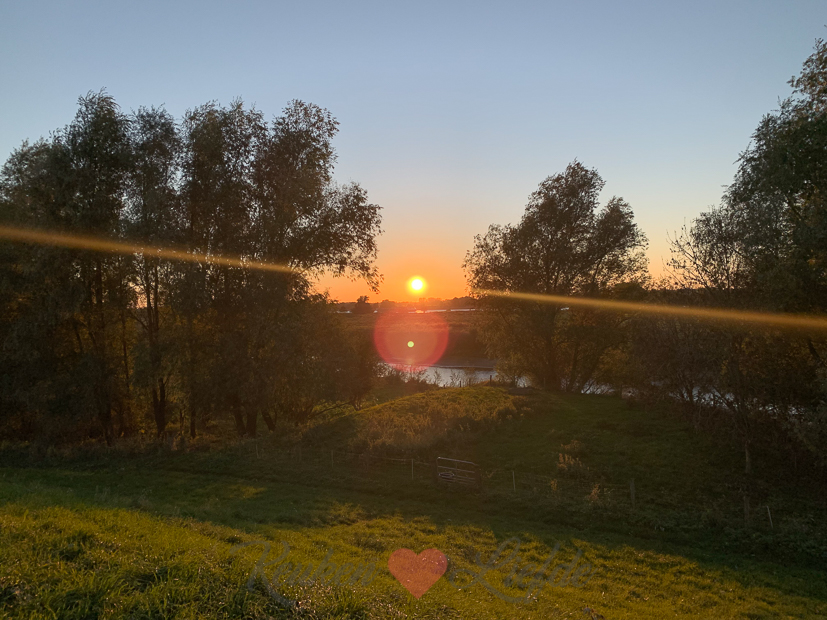 Een kijkje in de keuken week 44-2021