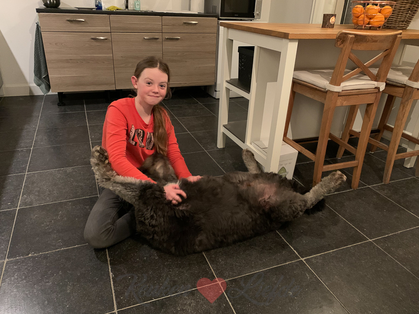 Een kijkje in de keuken week 49-2021