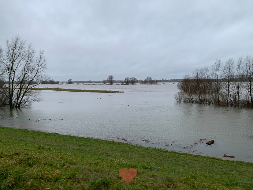 Een kijkje in de keuken week 2-2022
