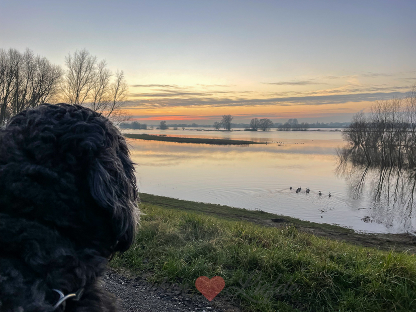 Een kijkje in de keuken week 2-2022