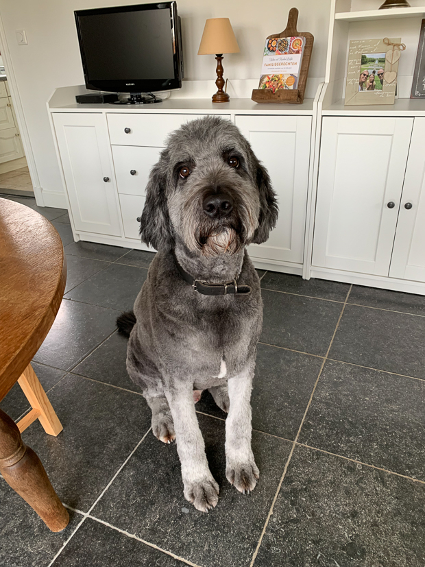 Een kijkje in de keuken week 8-2022