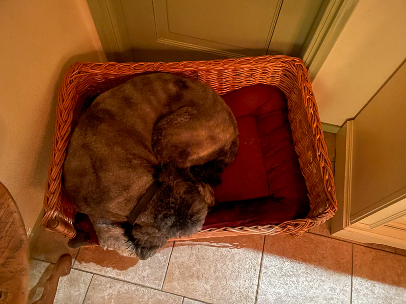 Een kijkje in de keuken week 8-2022