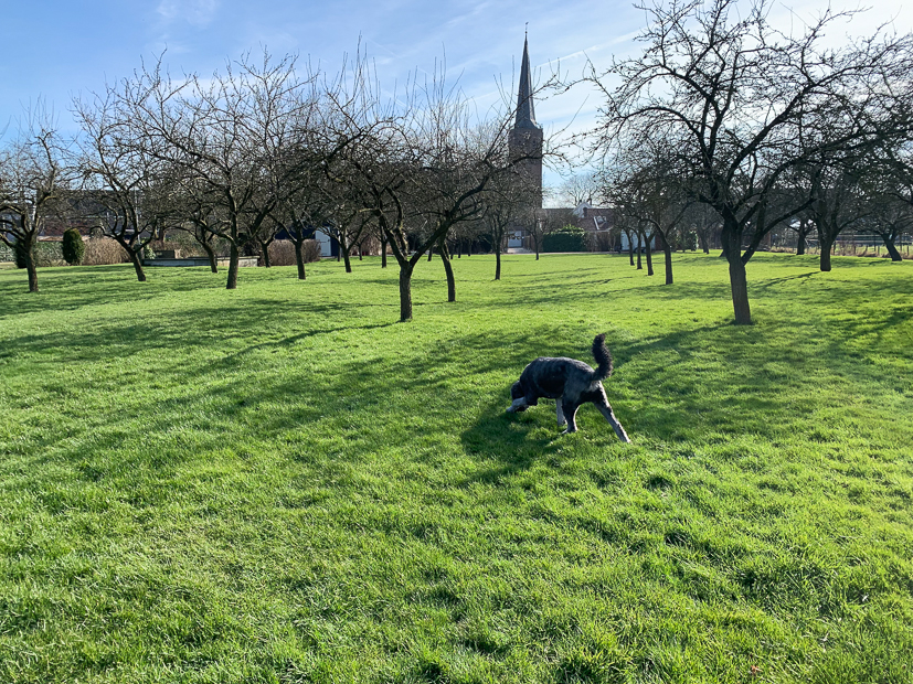 Een kijkje in de keuken week 10-2022