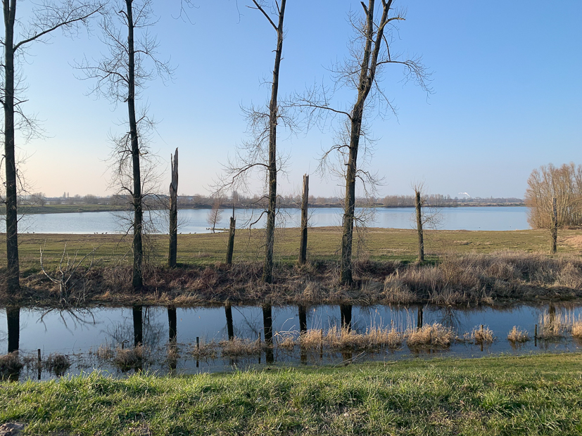 Een kijkje in de keuken week 10-2022