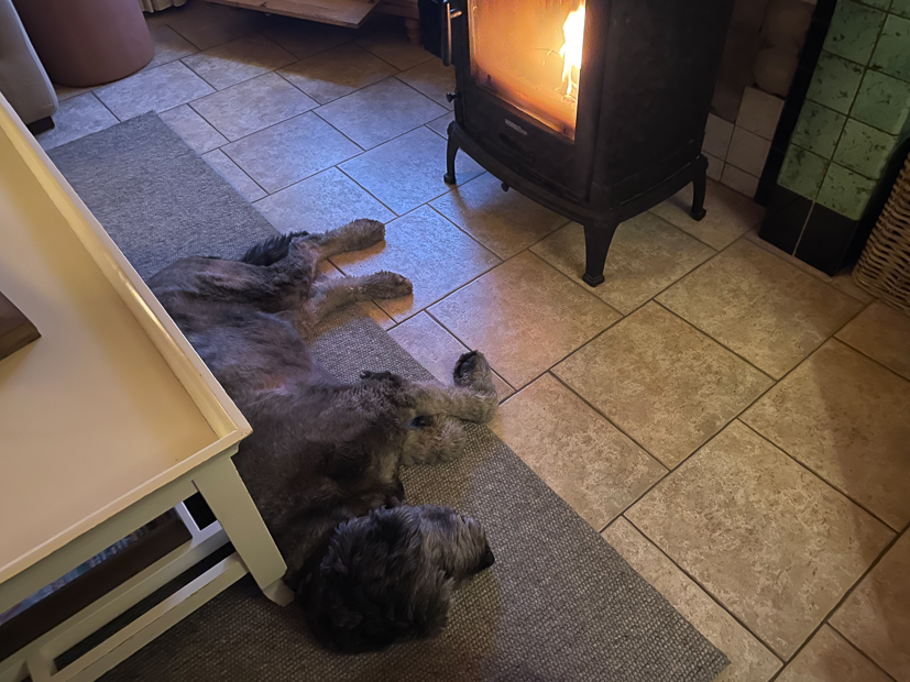 Een kijkje in de keuken week 11-2022