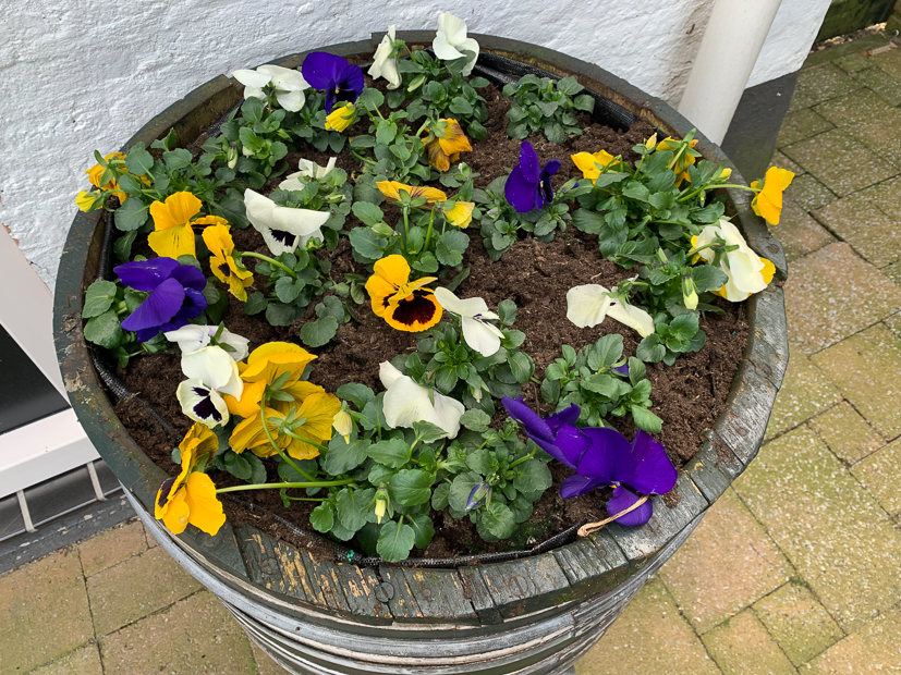 Een kijkje in de keuken week 11-2022