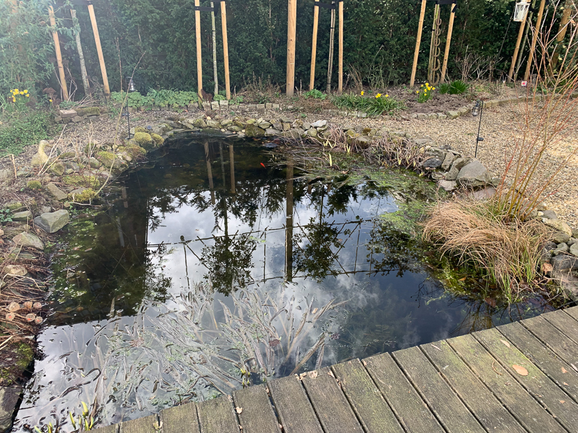 Een kijkje in de keuken week 11-2022