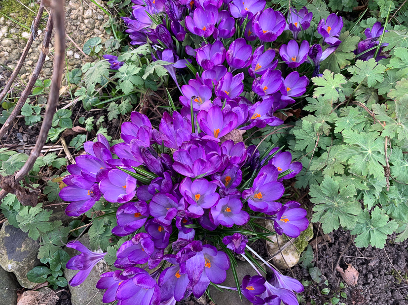 Een kijkje in de keuken week 11-2022