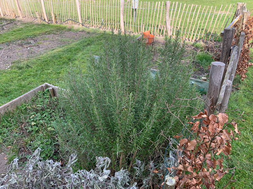 Een kijkje in de keuken week 11-2022