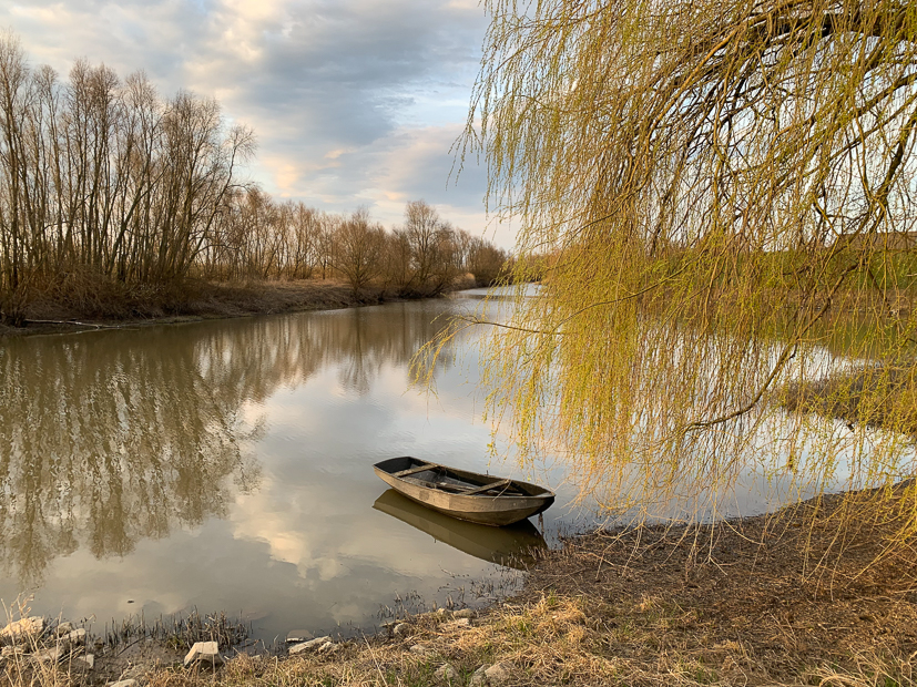 Een kijkje in de keuken week 11-2022