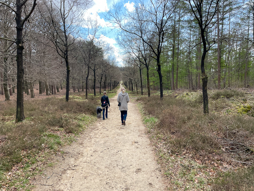 Een kijkje in de keuken week 15-2022