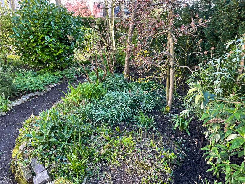 Een kijkje in de keuken week 15-2022