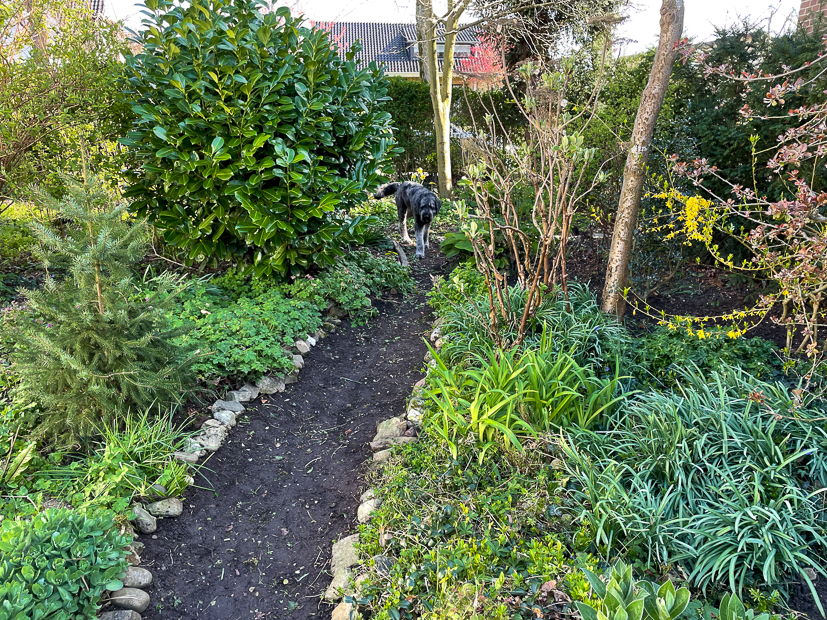 Een kijkje in de keuken week 15-2022