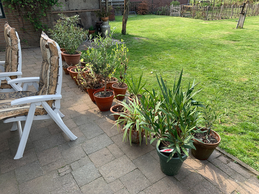 Een kijkje in de keuken week 17-2022