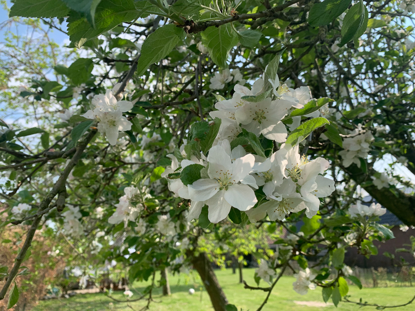 Een kijkje in de keuken week 17-2022