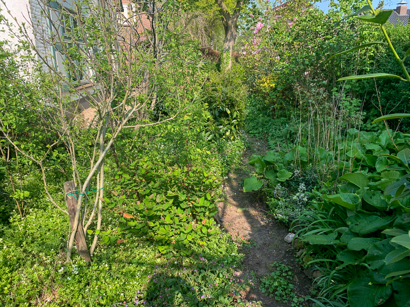 Een kijkje in de keuken week 17-2022