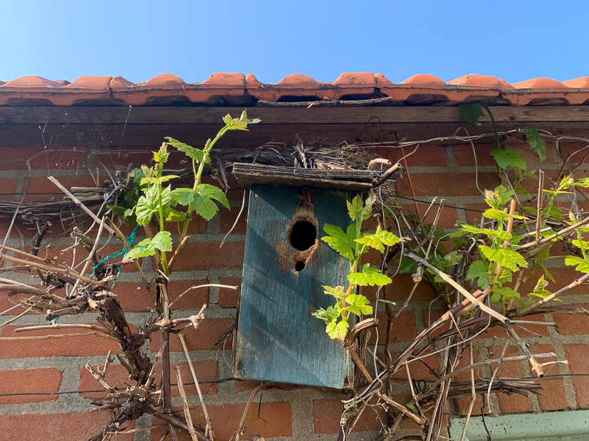 Een kijkje in de keuken week 17-2022