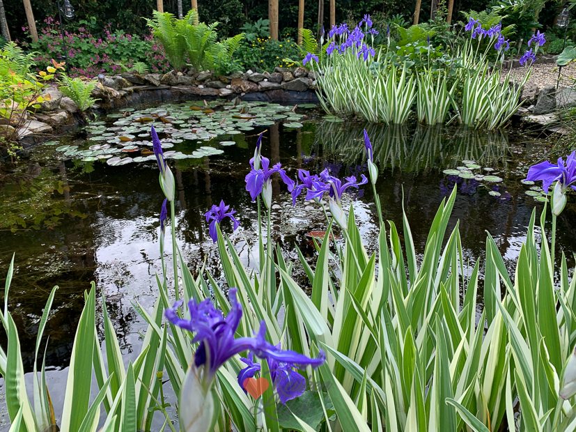 Een kijkje in de keuken week 21-2022