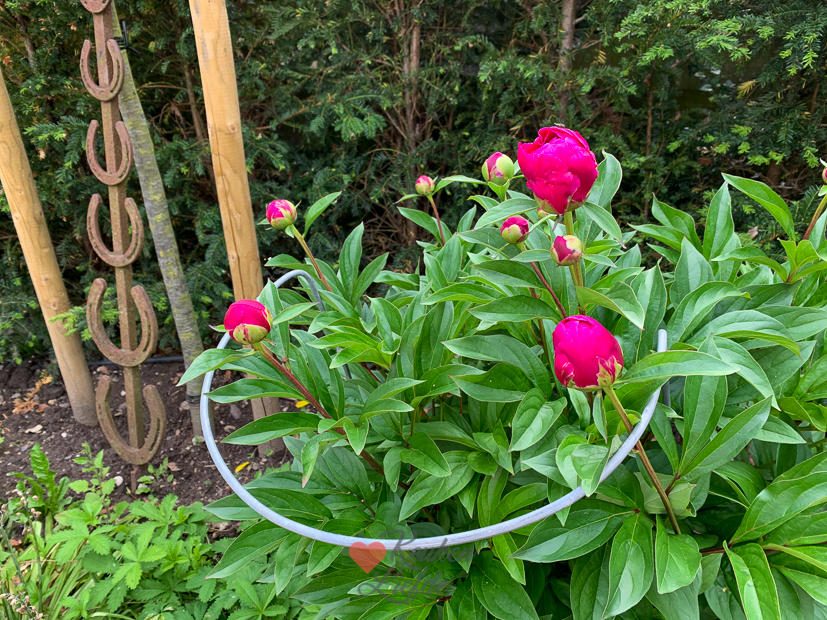 Een kijkje in de keuken week 21-2022