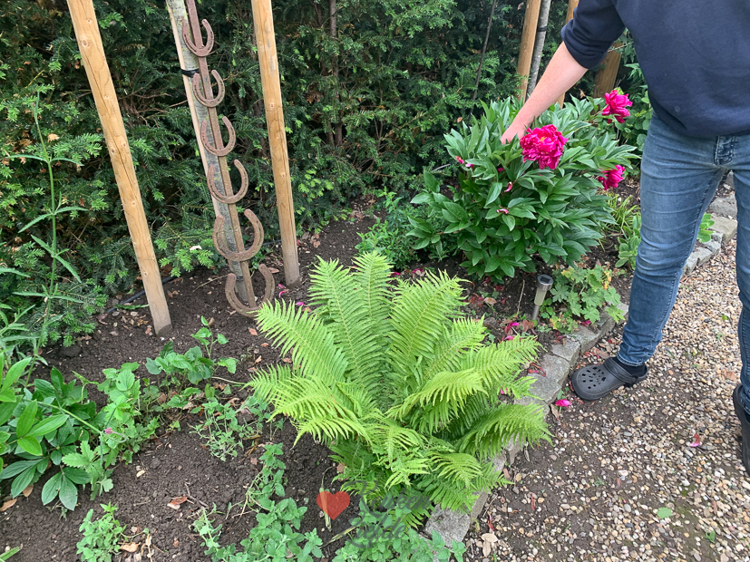 Een kijkje in de keuken week 24-2022