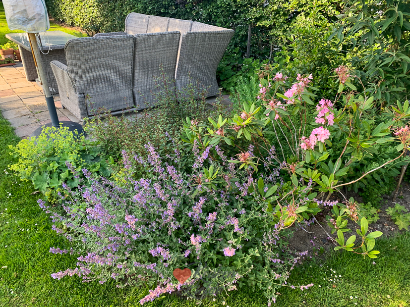 Een kijkje in de keuken week 25-2022