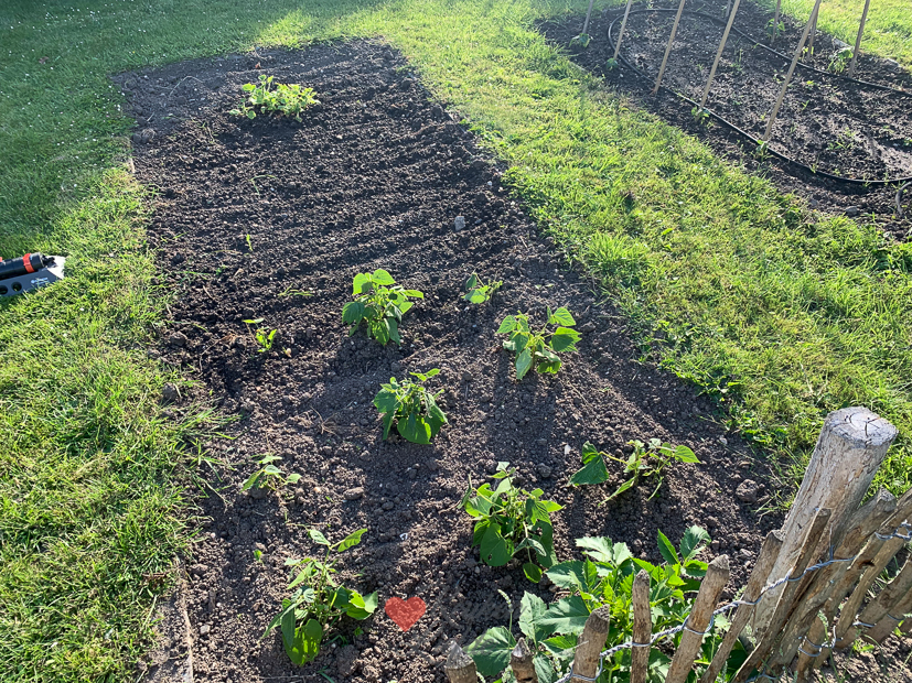 Een kijkje in de keuken week 25-2022