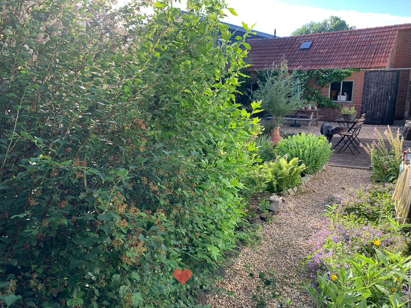 Een kijkje in de keuken week 25-2022