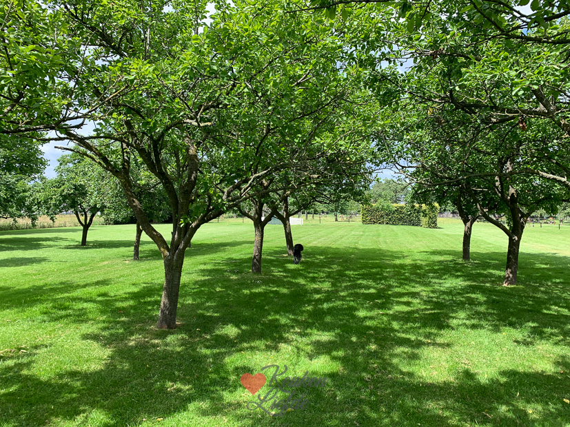 Een kijkje in de keuken week 25-2022
