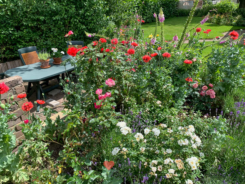 Een kijkje in de keuken week 25-2022