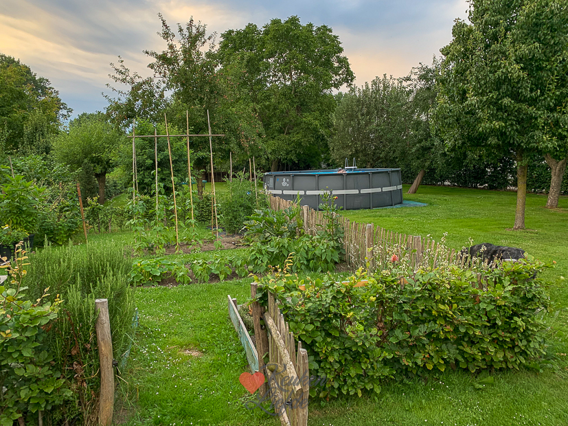 Een kijkje in de keuken week 29-2022