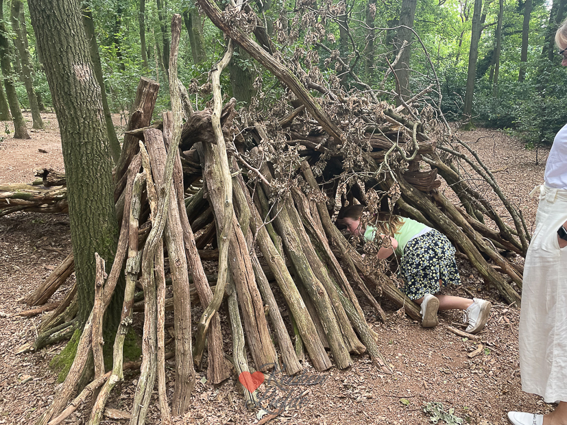 Een kijkje in de keuken week 32-2022