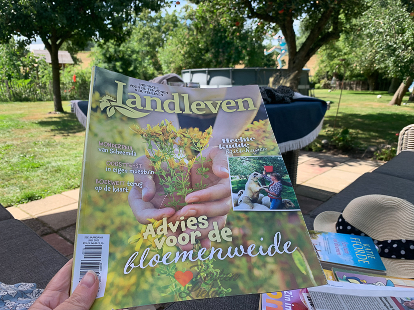 Een kijkje in de keuken week 32-2022