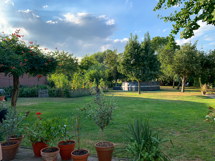 Een kijkje in de keuken week 35-2022