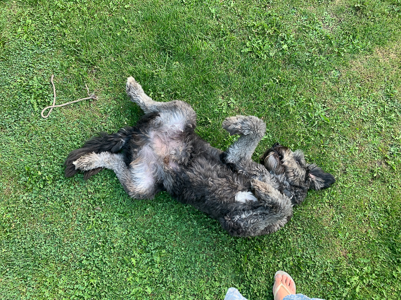 Een kijkje in de keuken week 35-2022