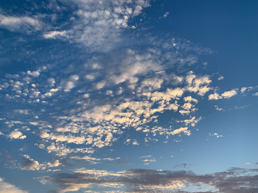 Een kijkje in de keuken week 35-2022