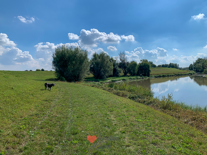 Een kijkje in de keuken week 37-2022